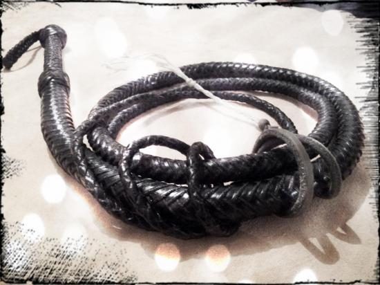bullwhip 2m5