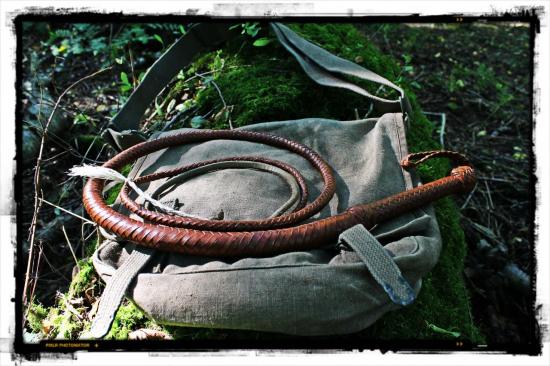 bullwhip style Indy