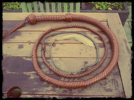 bullwhip 8ft 2