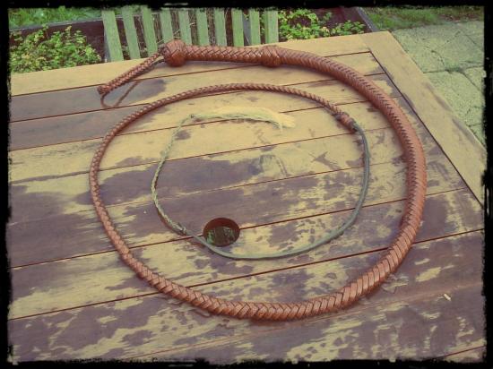 bullwhip 8ft