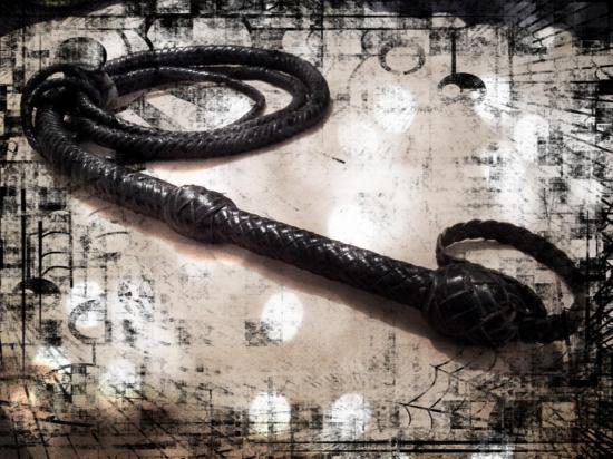 bullwhip 2m5 natural 