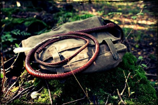 bullwhip foret