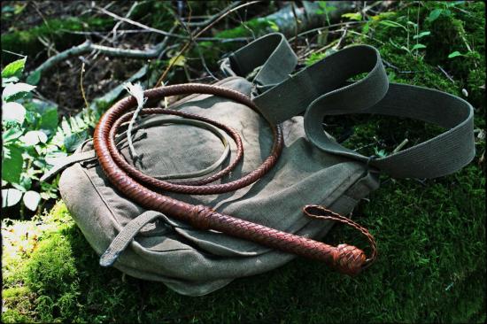 bullwhip style Indy