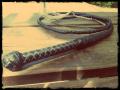 small bullwhip 2