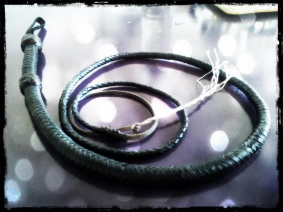 snakewhip